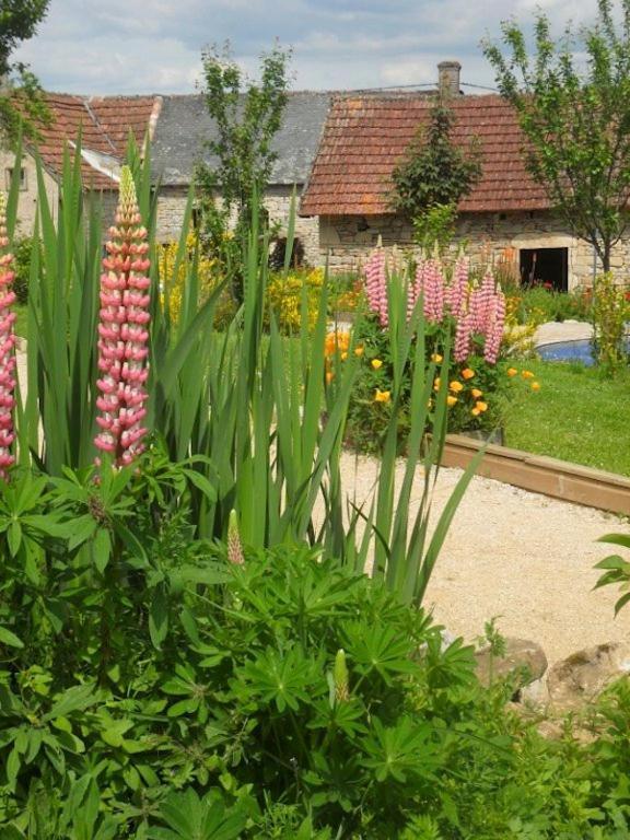 Le Mas De Carrie Bed and Breakfast Parisot  Εξωτερικό φωτογραφία