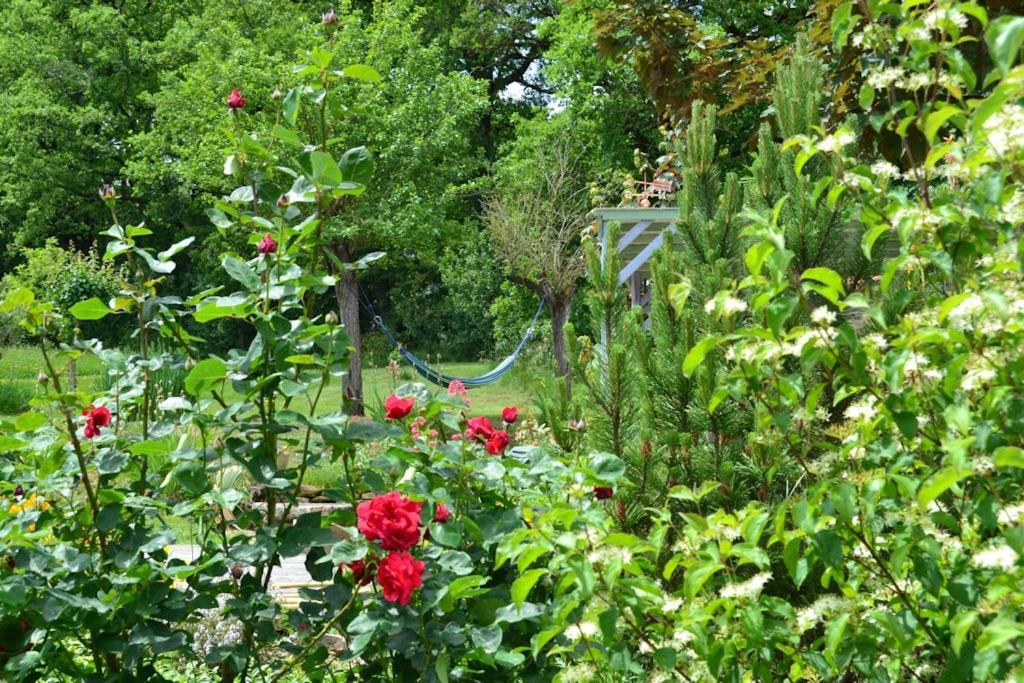 Le Mas De Carrie Bed and Breakfast Parisot  Εξωτερικό φωτογραφία